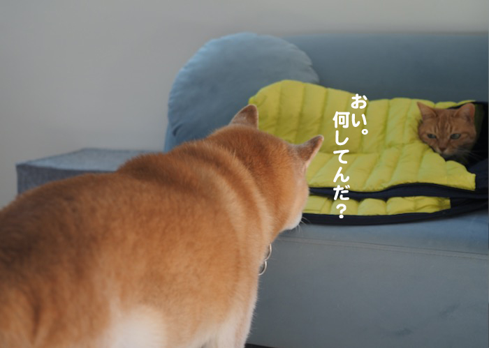 20日ブログ４