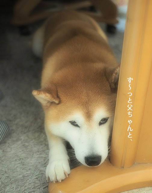 19日ブログ4
