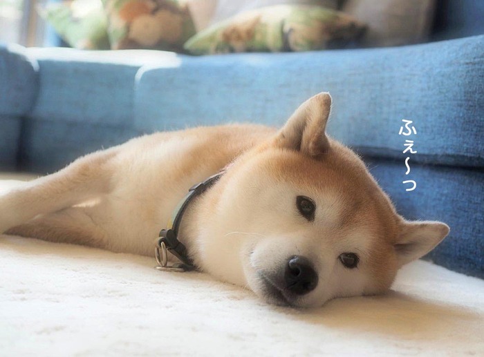 24日夜用6