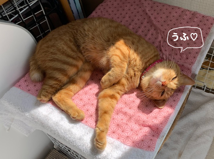 20日夕ブログ８