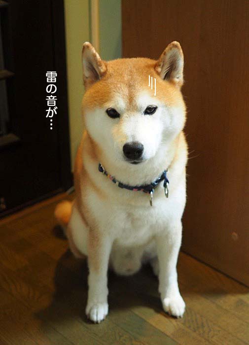 10日夜ブログ２