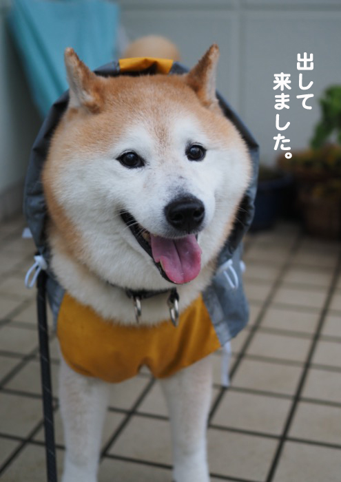 13日夕ブログ３