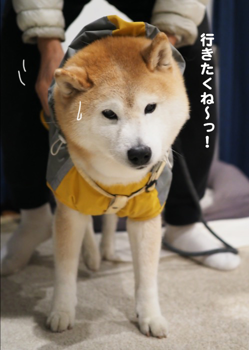 29日ブログ5