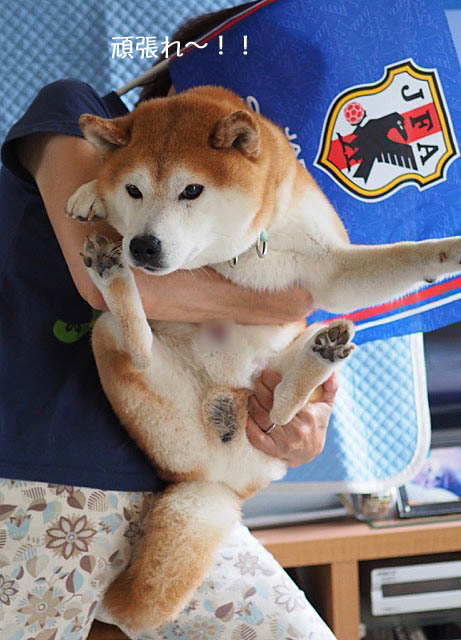 28日ブログ2