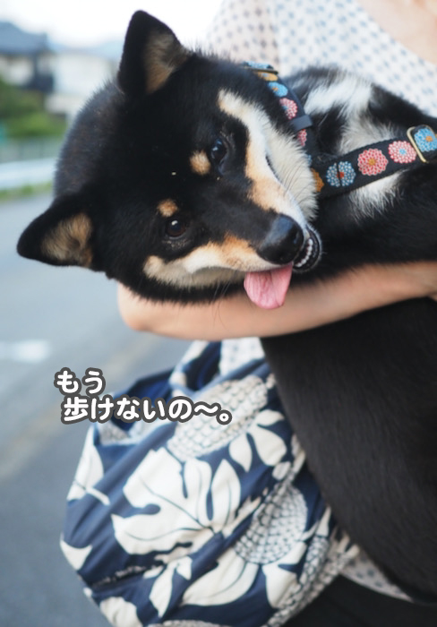 8日夕ブログ７
