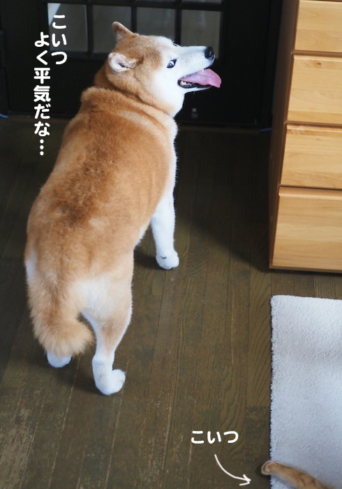 18日ブログ４