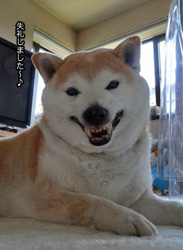 27日ブログ5.jpg