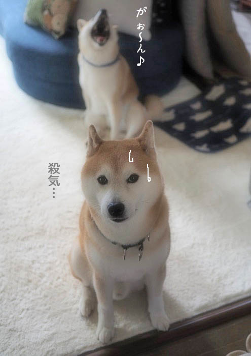 8日夜ブログ6