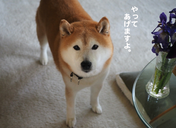5日ブログ２