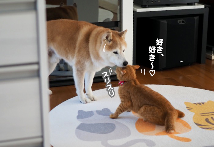 9日夕ブログ３