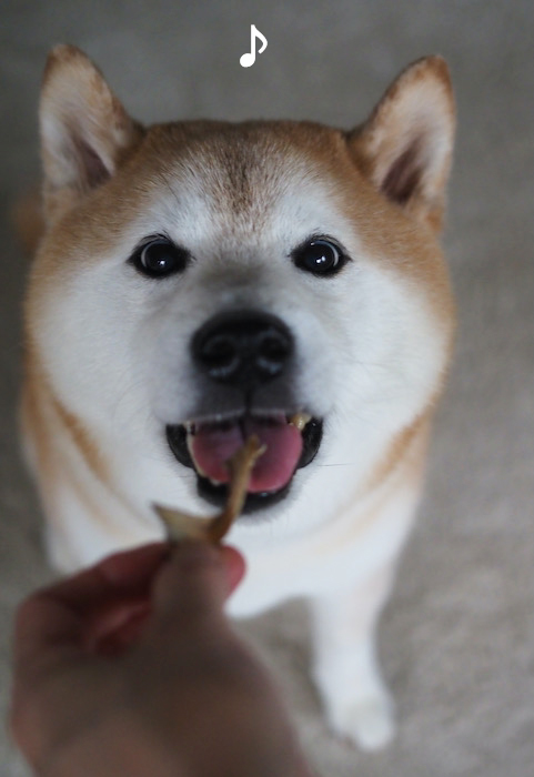 15日夕ブログ５