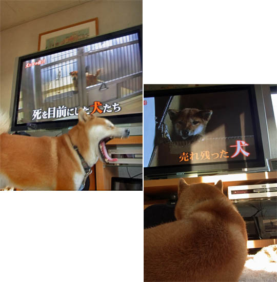 4日ブログ7.jpg