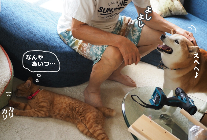 14日夜ブログ６