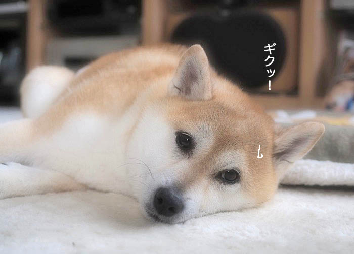 29日ブログ３