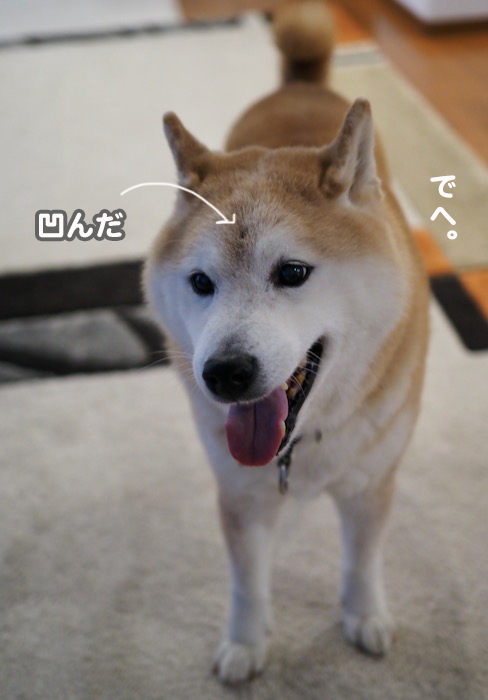 5日夕ブログ７