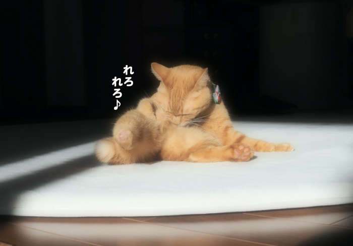 21日ブログ１