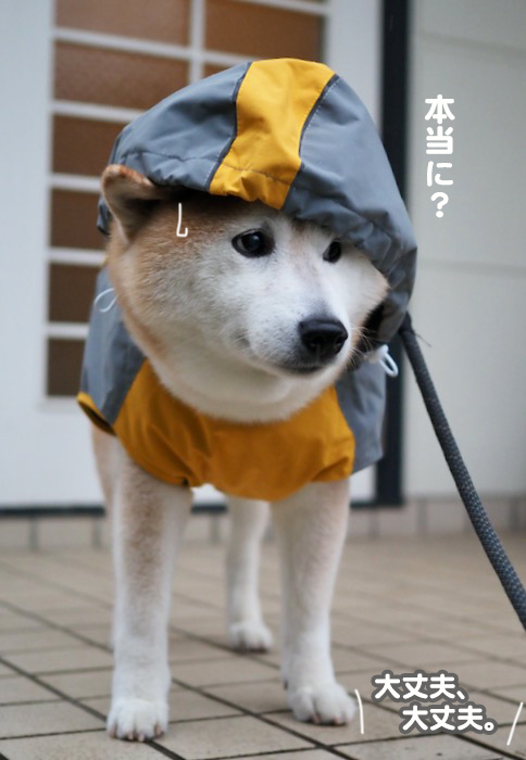 8日夕ブログ４