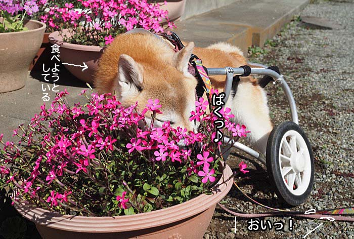 20日ブログ４