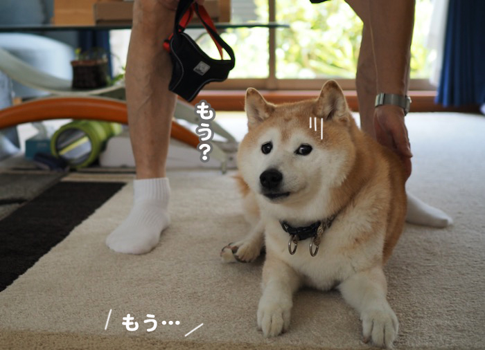 7日ブログ７