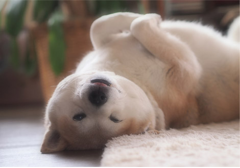 7日ブログ２２.jpg
