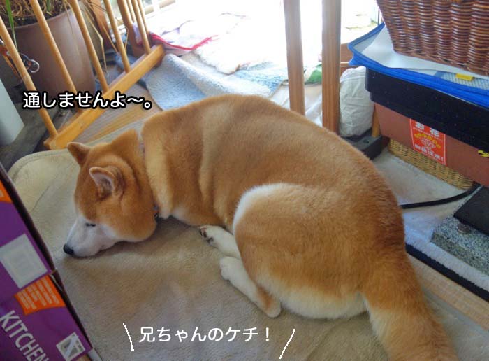 4日夜ブログ５