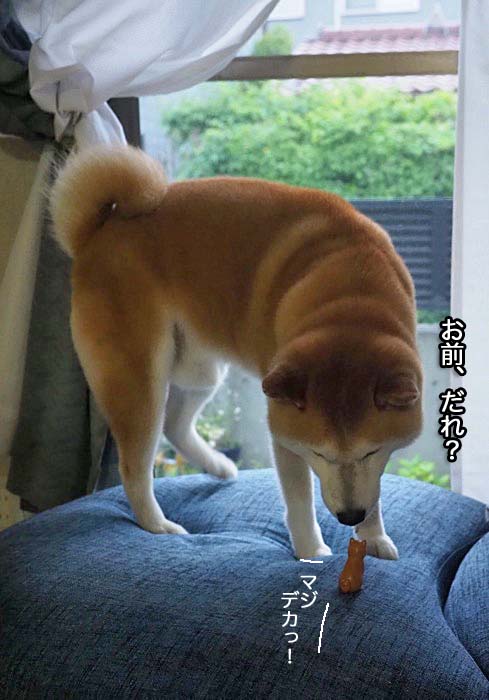 8日夜ブログ６