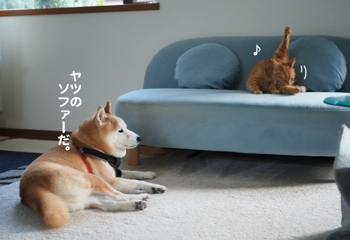 5日夕ブログ５