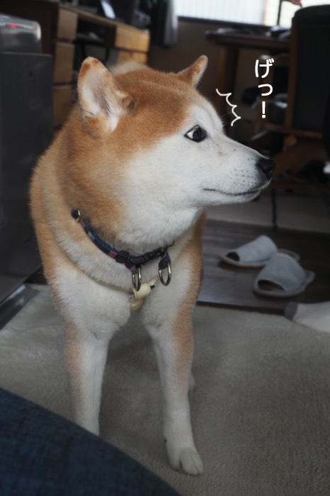 17日夜ブログ２