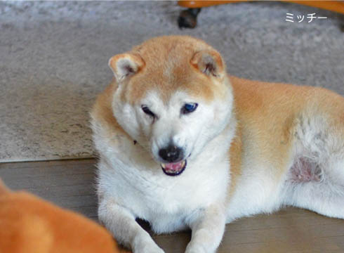 29日ブログ3.jpg