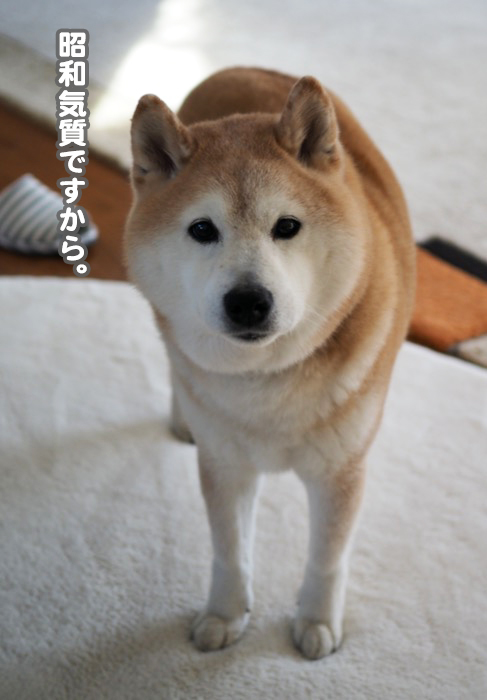 4日ブログ９