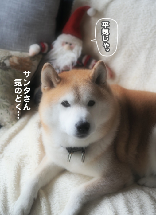 26日夜ブログ６