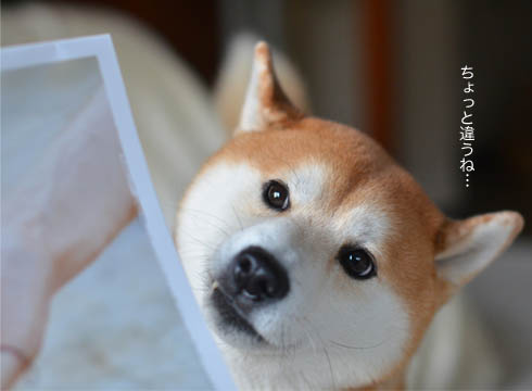 24日ブログ7.jpg