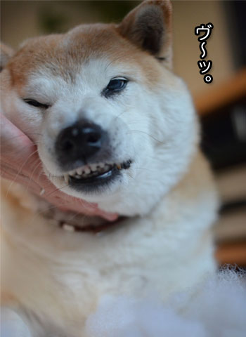 7日ブログ10.jpg