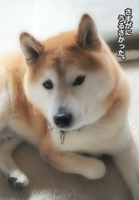 17日ブログ４