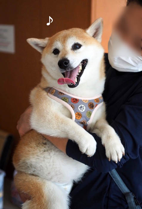 6日ブログ５