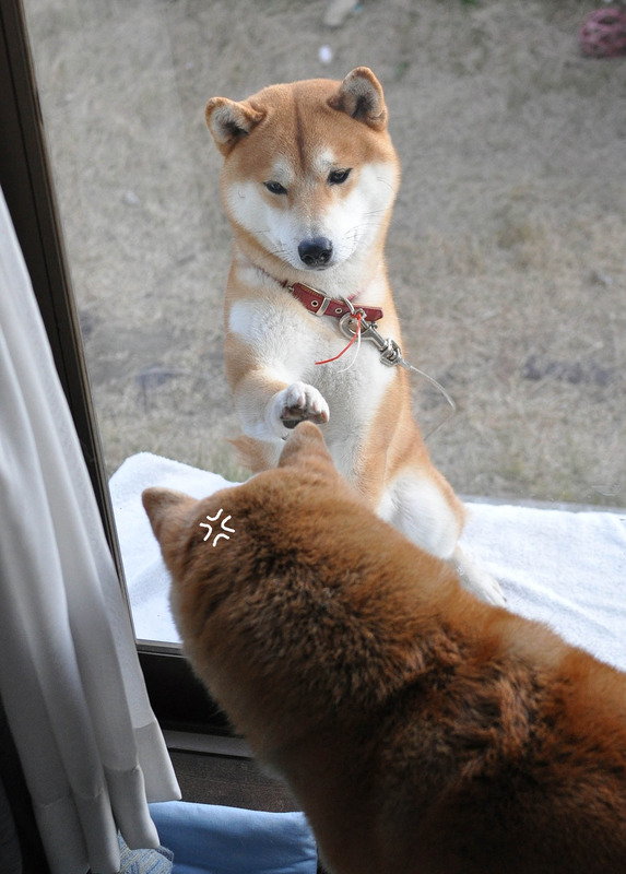22日ブログ３