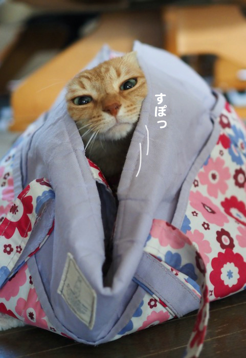 1日夕ブログ５
