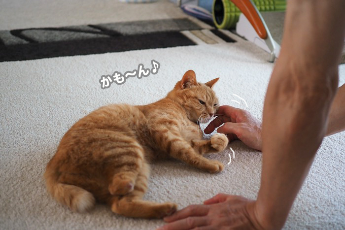 26日夕ブログ４
