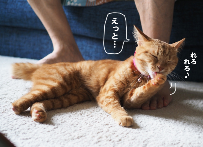 12日夕ブログ４