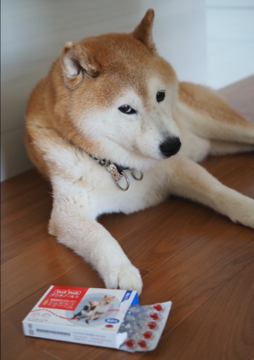 8日ブログ６