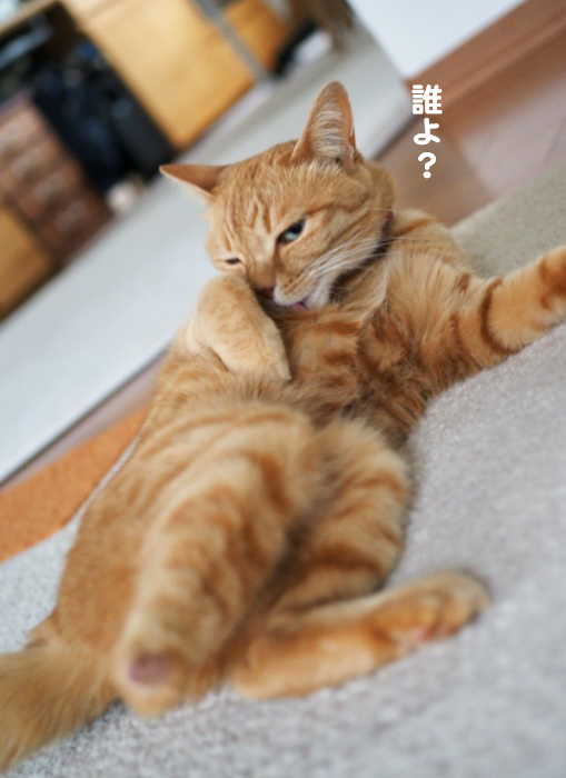 12日ブログ５