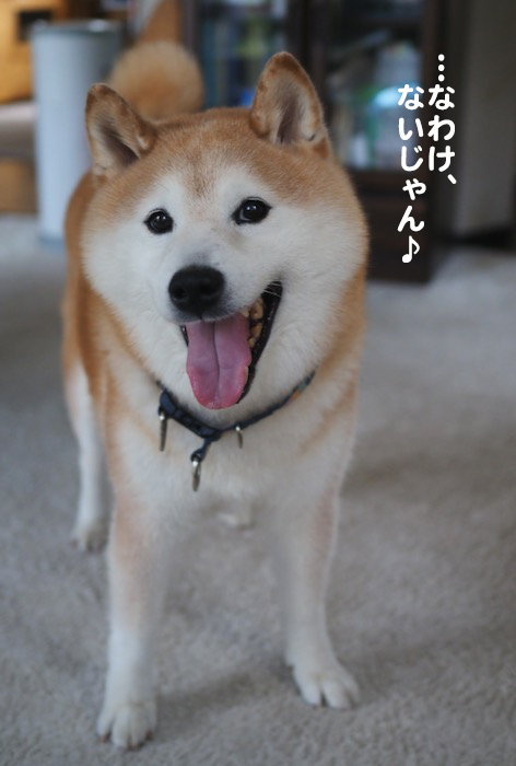 5日夕ブログ４