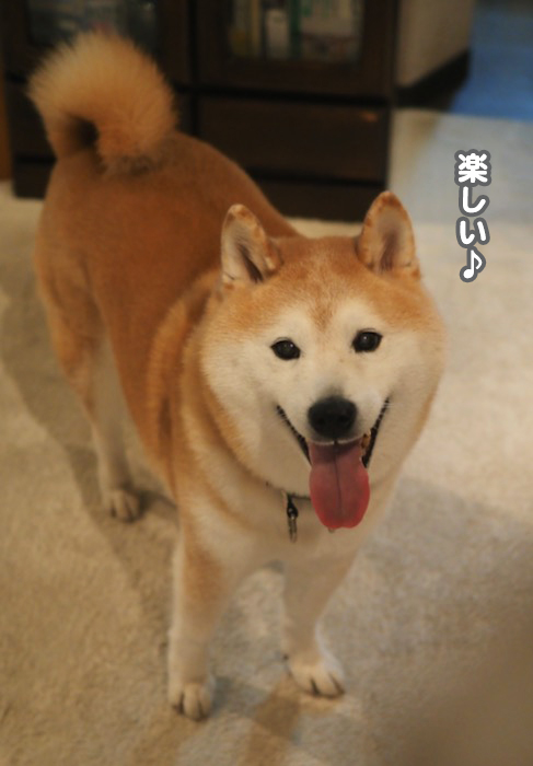 27日夕ブログ５