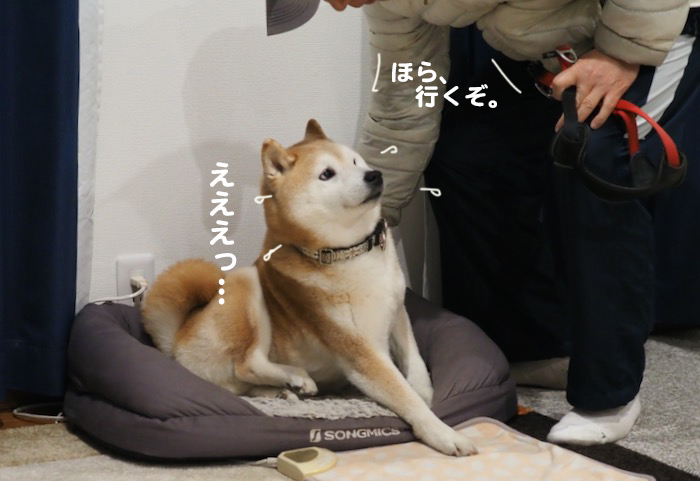 15日夕ブログ4