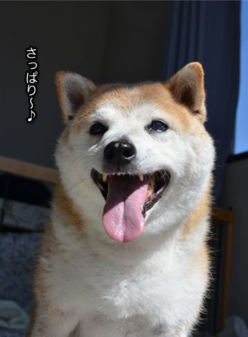 12日ブログ5.jpg