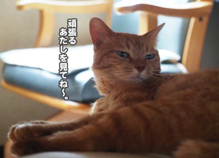 13日夕ブログ３