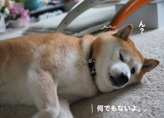 20日ブログ３