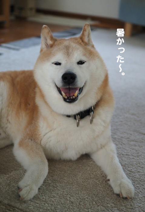 29日夕ブログ３