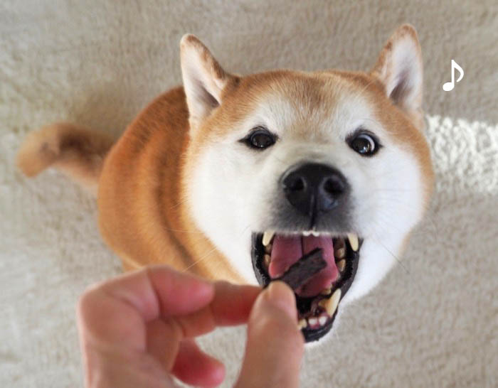 18日ブログ４