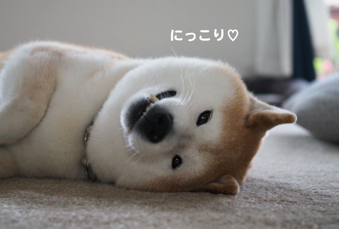 21日ブログ４